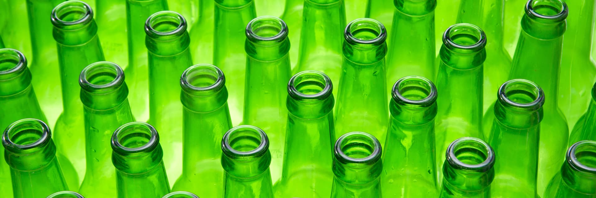 Contenedor verde